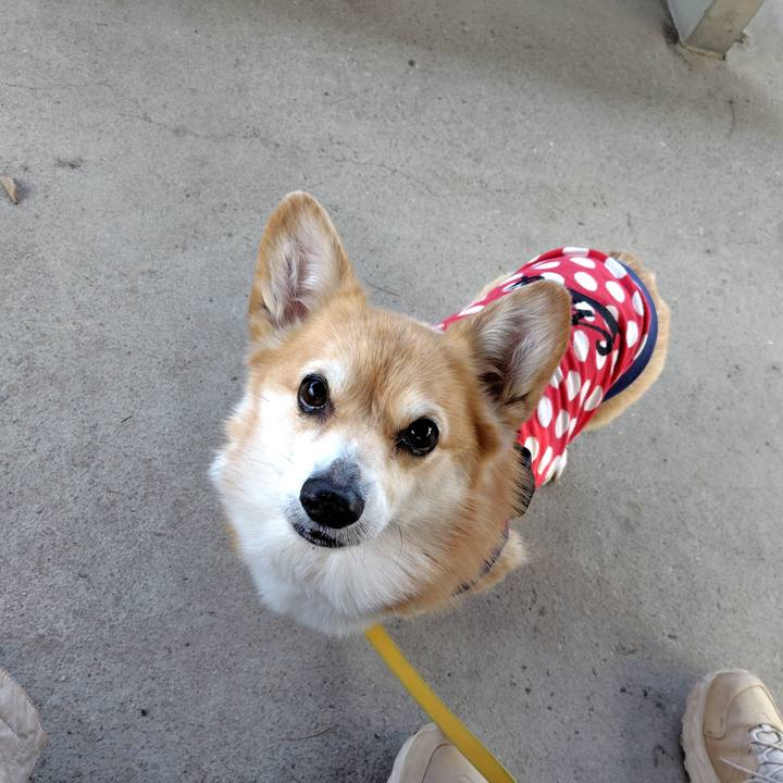 9f843233 a754 4b4d b0d9 7fcc9a69408c 1740404305795