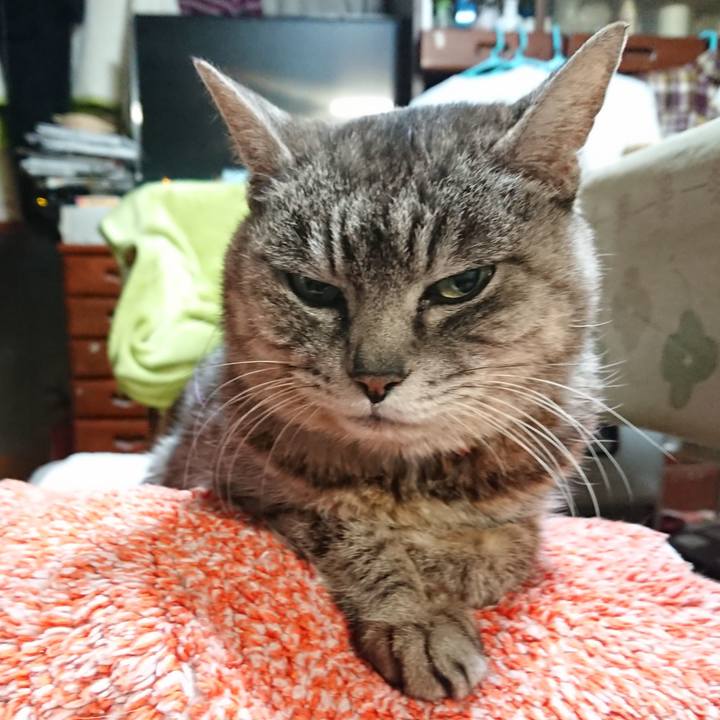 9f8448ee 7ca8 4fa8 91bb c821ec79afb0 1582144997060