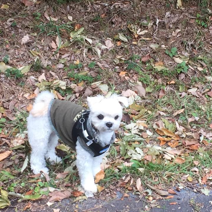 9f844f96 144e 4941 b5a4 a734ae6465fb 1510046775345