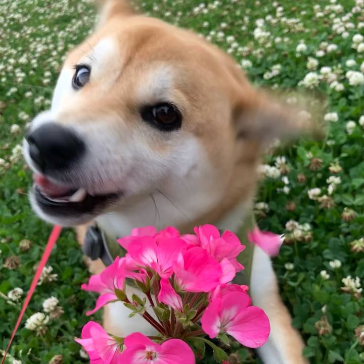 9f8453b9 62ba 4d0e 817b 9fb224425907 1656027988650