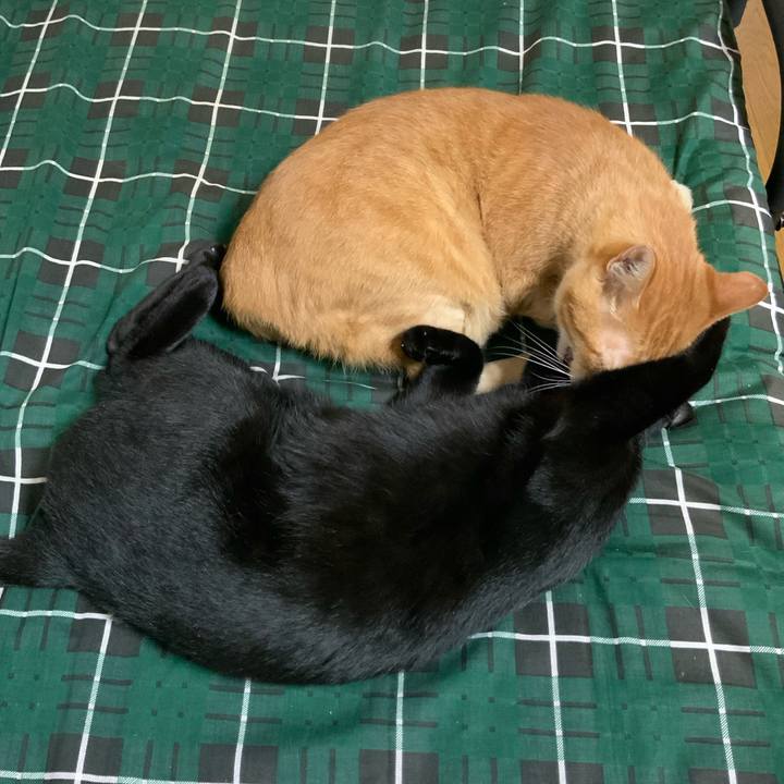 9f84a454 6a59 4736 b9da 6a8982364bbe 1695124228037