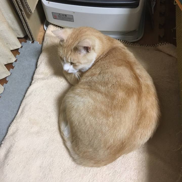 9f84d0e6 0b65 4795 81d3 400d6147ced4 1508710264952