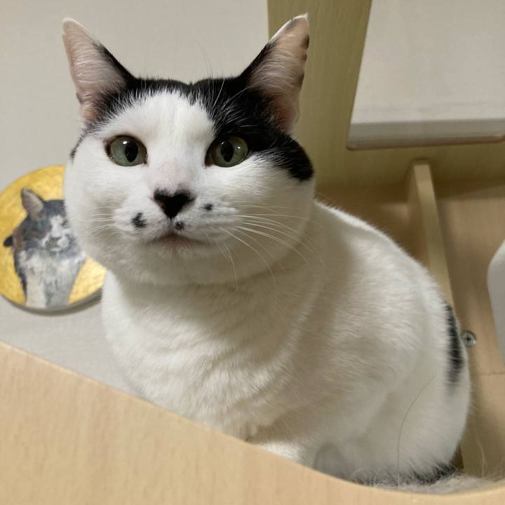 9f84d392 ae99 4f25 beb4 02cbc66d74f0 1769632085799