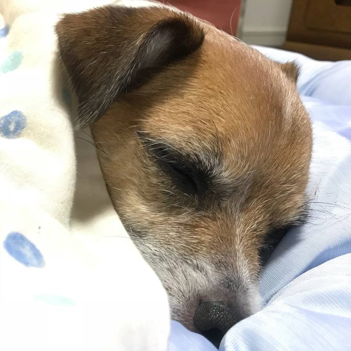 9f850de5 0cfc 4e7f ae77 fd165f5cd5cf 1531830547104