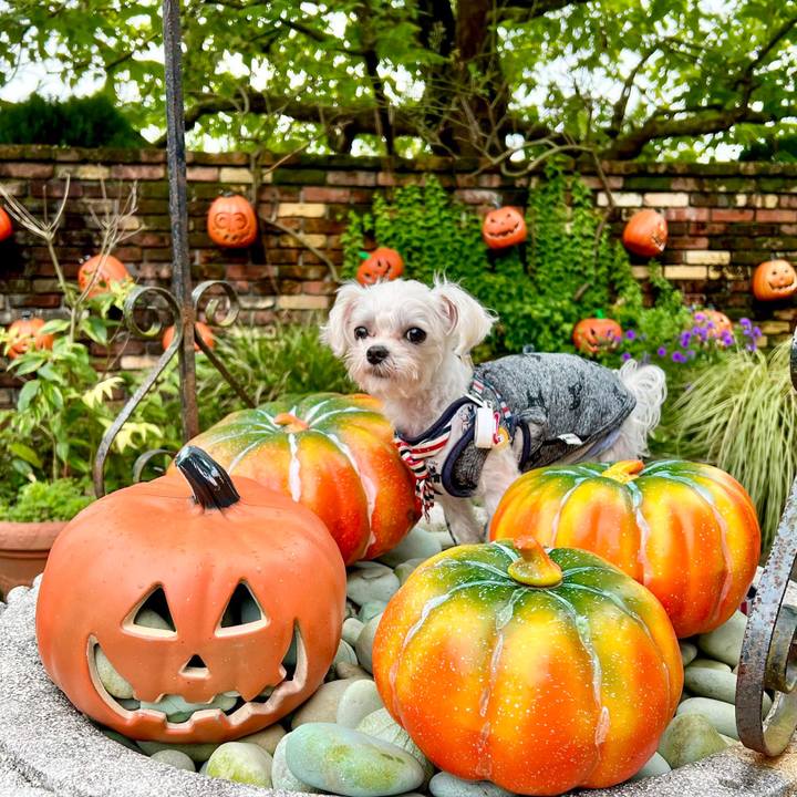 9f852ef8 8390 46d1 8372 6f18b9944373 1666689605117