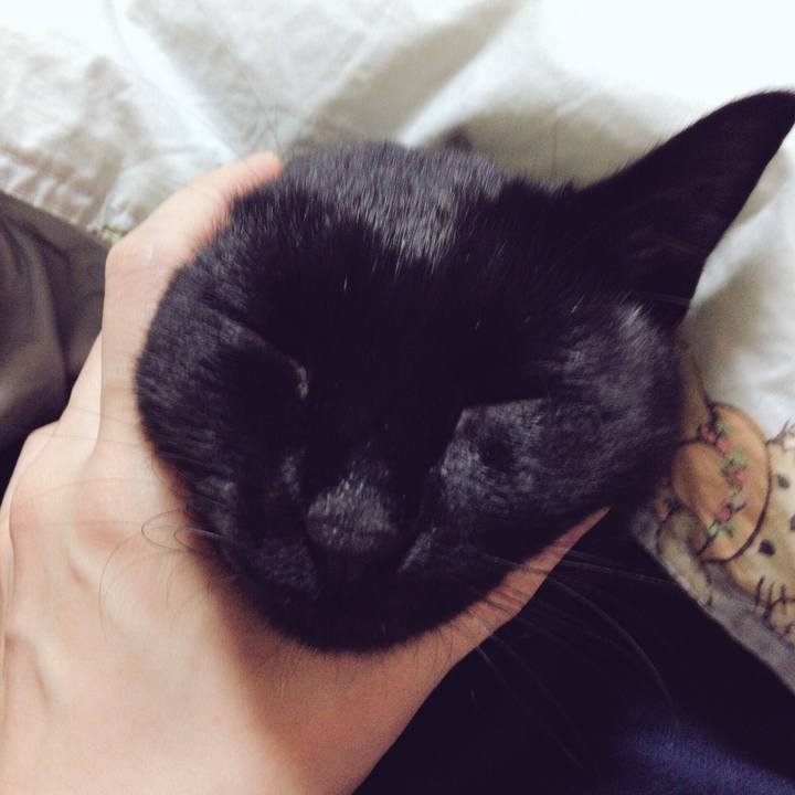 9f853321 5754 4a3c a346 824f809801ed 1511959926389