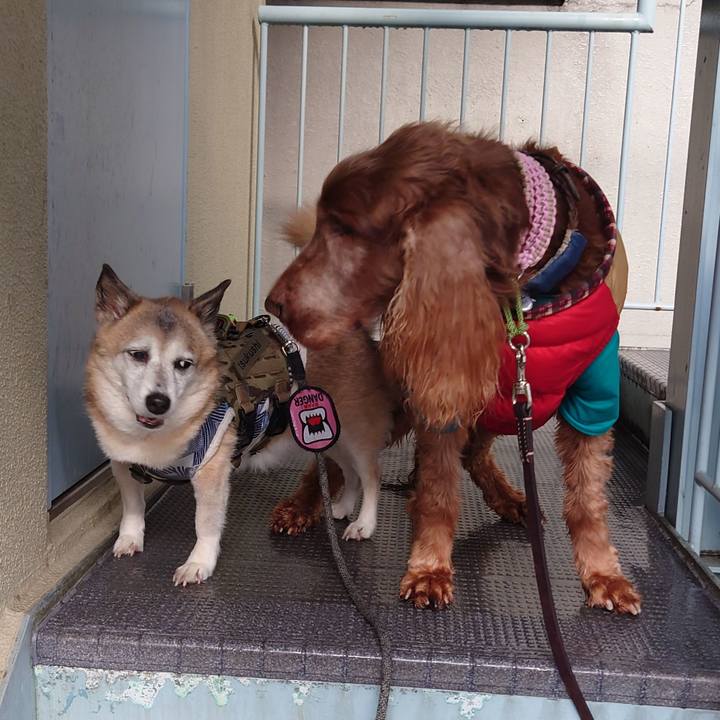 9f8547b8 5b8a 4204 9003 af27ef187654 1705832339665