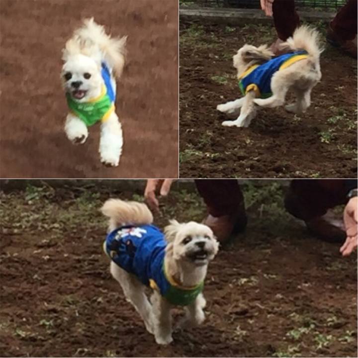 9f855fef a7df 4b79 9738 7f84349128e6 1523442468481