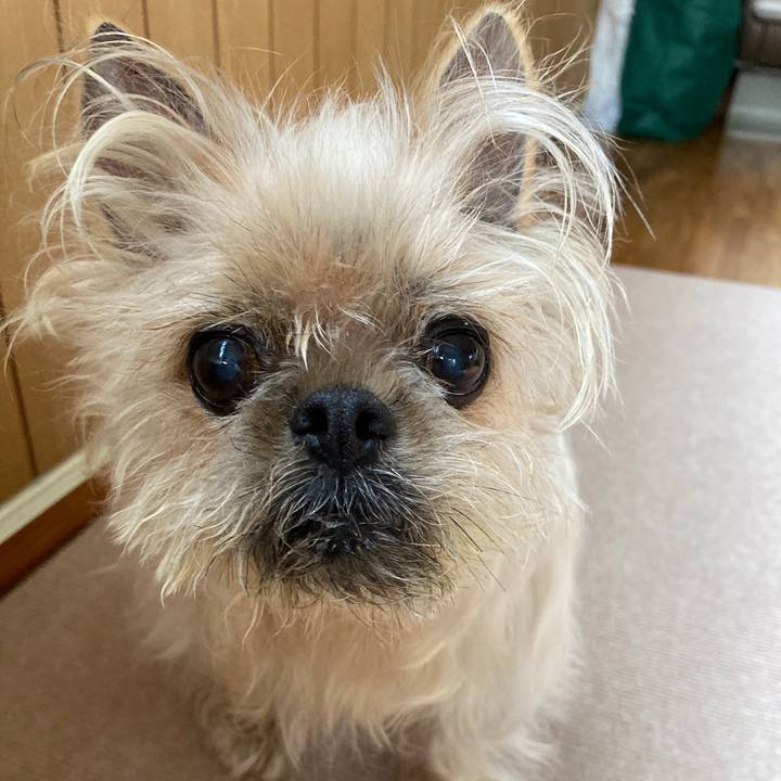 9f85cf18 c3cf 4f08 943f c2ee38b21d89 1635722138583