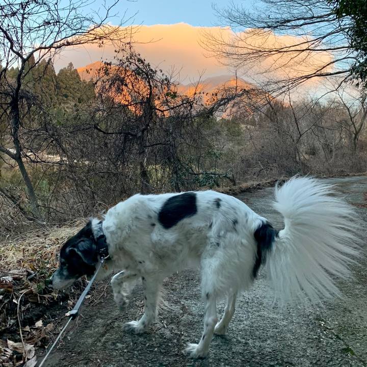 9f85d161 49c5 46d7 8b28 2793a94c3fa3 1611021155240