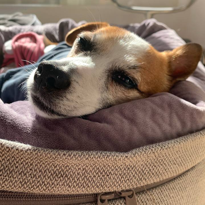 9f866628 5b32 4255 a21c a742ca30fa91 1641958613721