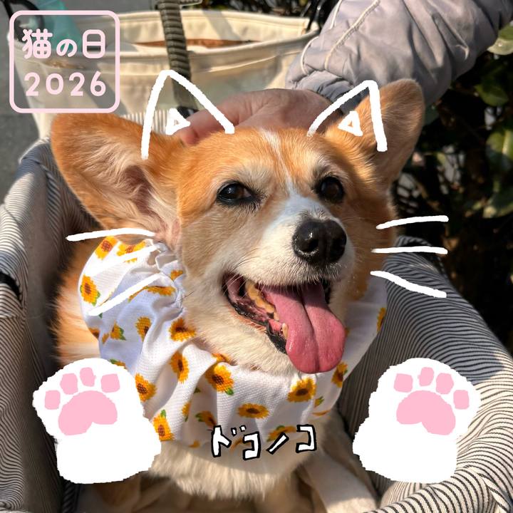 9f867446 f3ea 470a 8aa7 35d6ad13769f 1771728965372