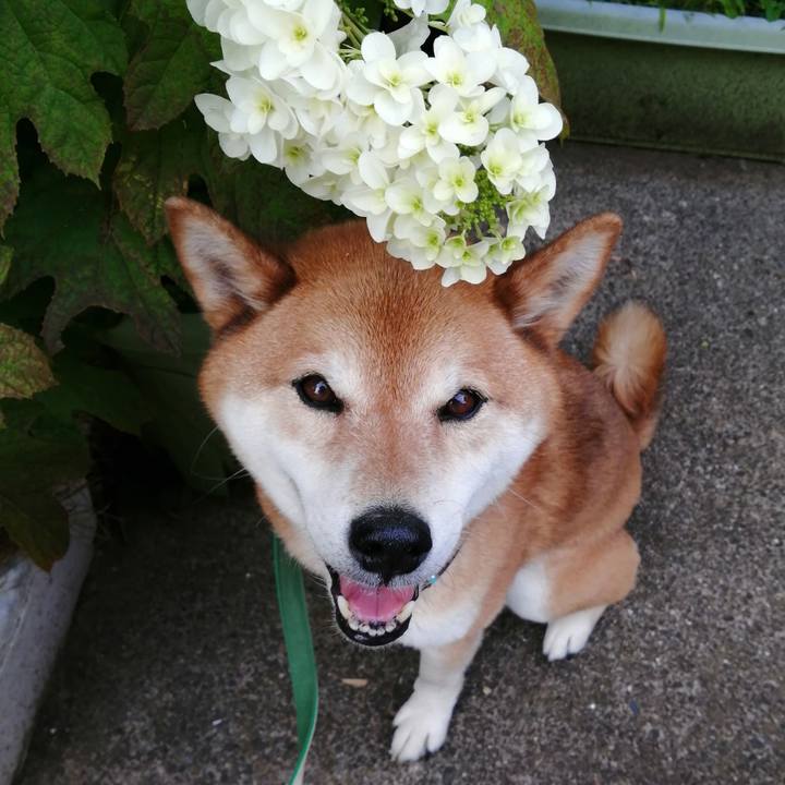 9f86a2aa f6b3 433b 833d 7d7e61bae1e7 1685615450022