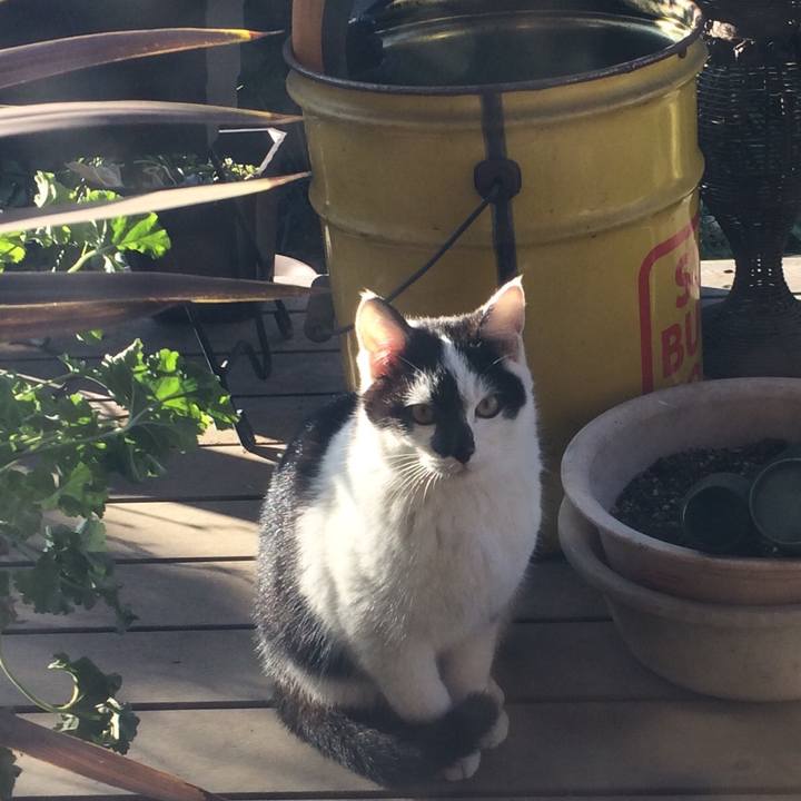 9f86e4cf c17a 4f96 915f 679134ab8e7c 1547595368444