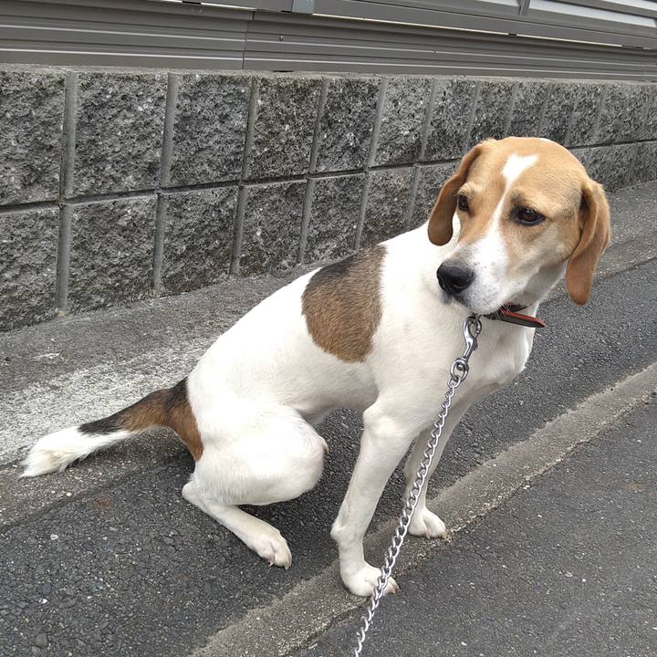 9f872d5d 9f70 43c2 b1b5 4c93e0b079ac 1624677836479