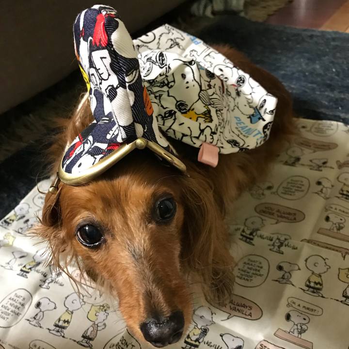 9f873378 b6e4 4ed0 851c 4a8d901041e6 1529839971378