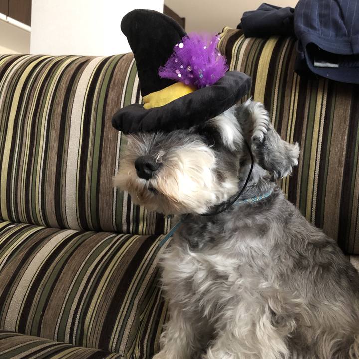 9f87585c becb 4361 94ef 0f3593bc297f 1572043482658