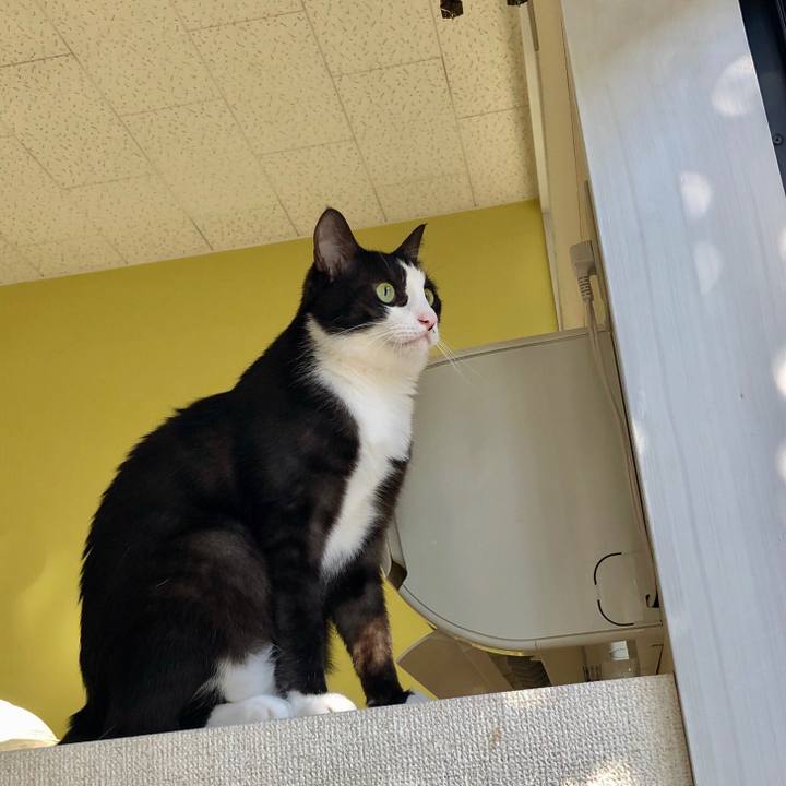 9f878479 9fe2 4512 b40a 9f625721a0d0 1547355001826