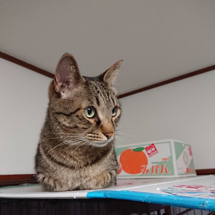 9f879cd6 834e 47e7 86fa 33b7d977a7e9 1565247850275