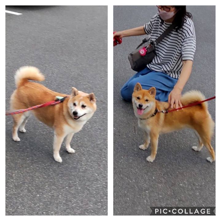 9f87ae51 3feb 41b8 bf17 d08815d35fef 1663332716337