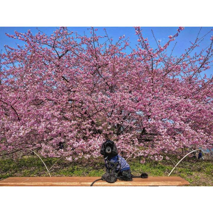 9f87d0d8 465d 425f 8c75 6c6b7f0bb130 1646723978357