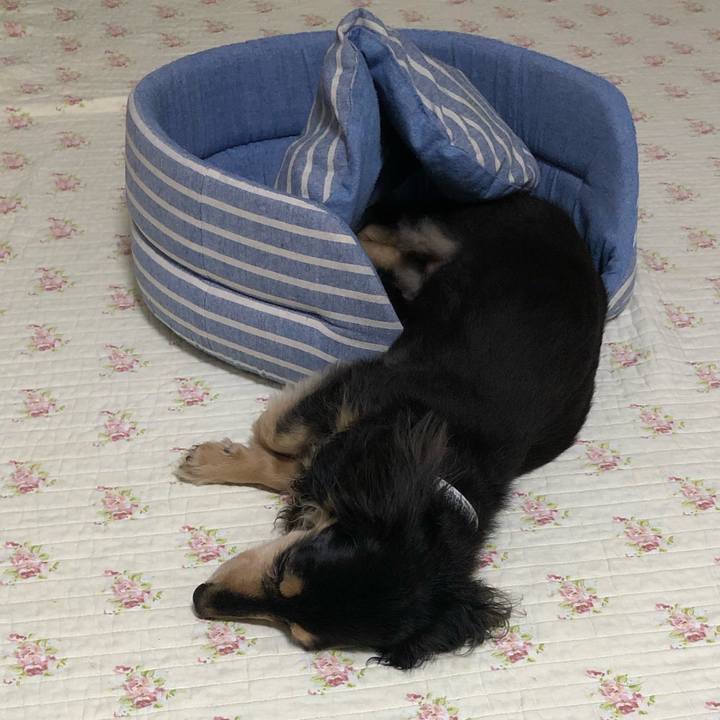 9f87fea2 db2a 4af6 9d68 503e82534794 1563198656655