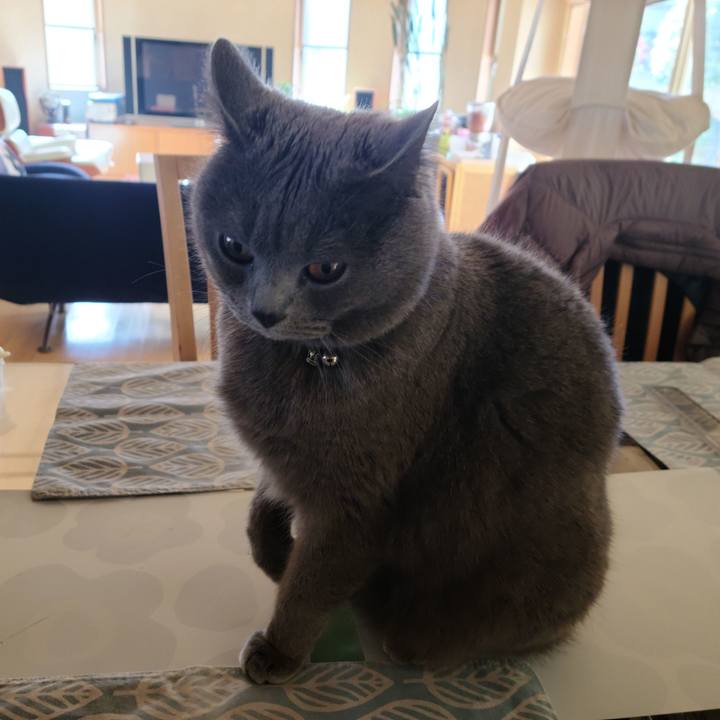 9f8815aa 6311 4751 9657 8ca528a8cd7e 1614129833361