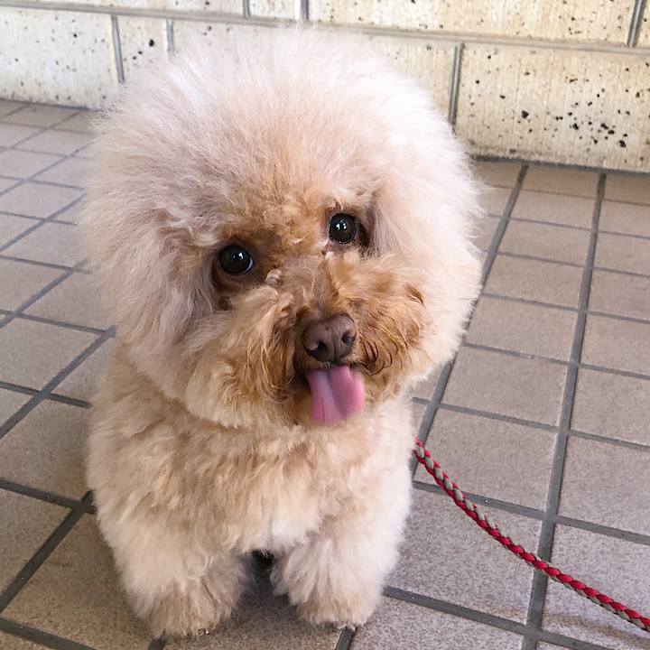 9f881a83 eea4 4630 bffd ad95c1f5ae78 1541410466889