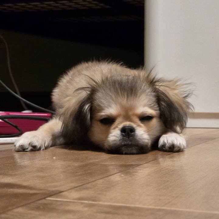 9f886fb9 9a6e 47c2 8cb6 14d39601a7e9 1774503603579