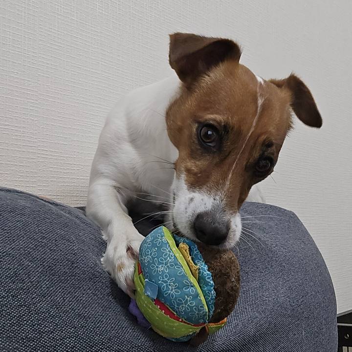 9f8885dd 37c0 4467 8e81 4c73168919fe 1774436975518