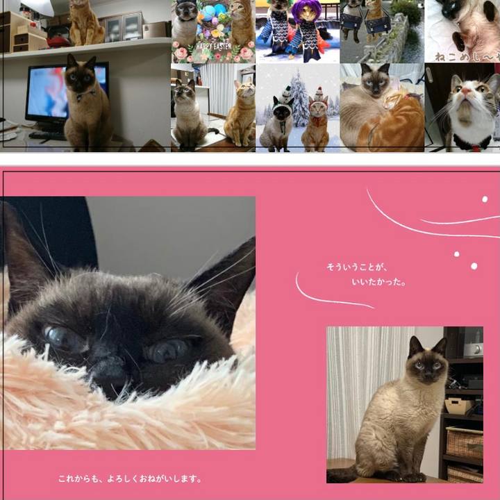 9f890354 7188 4418 bfb5 49880bce3c53 1621667690425