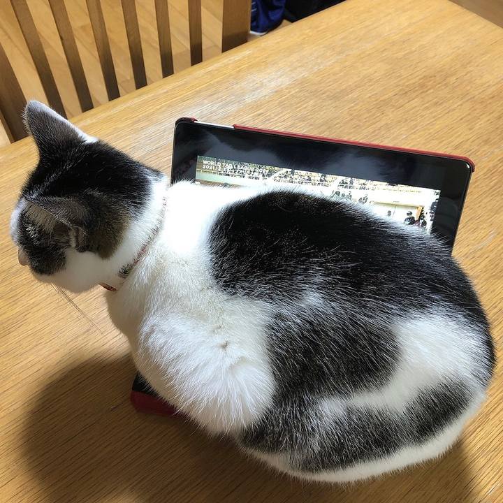 9f890492 2949 478d 9027 3490ffe5cf2d 1638873957086