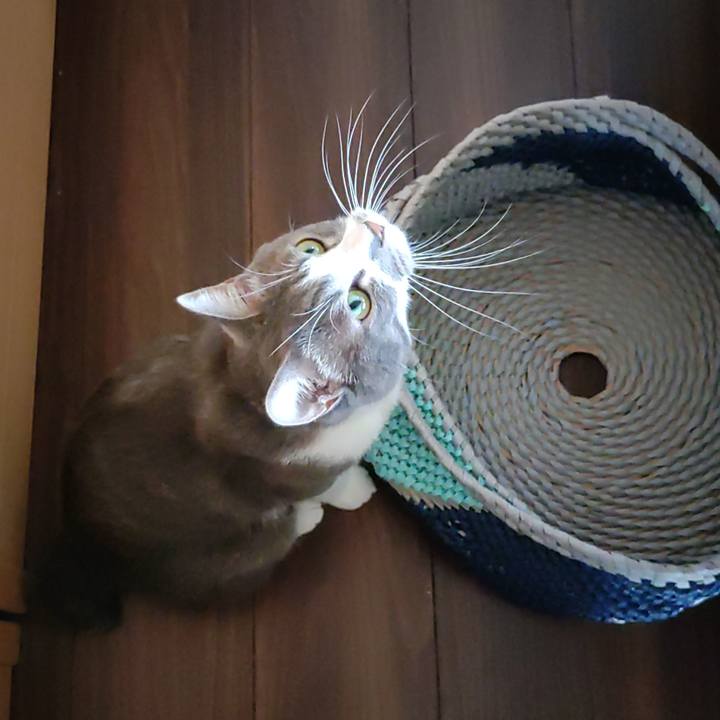 9f894147 56c8 403b ae63 f80a10bb2b62 1659478240085