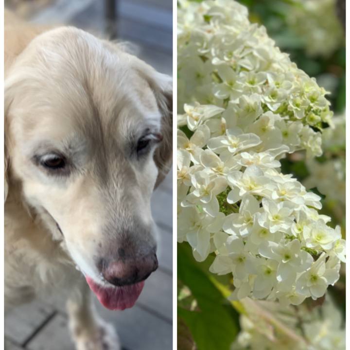 9f894512 973b 43e2 a0df be3ab335284b 1560917134299