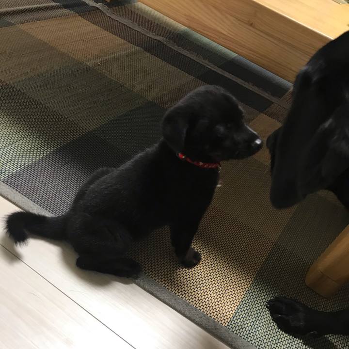 9f895e63 d309 42f8 a51e 88a05dc2c734 1568113154254