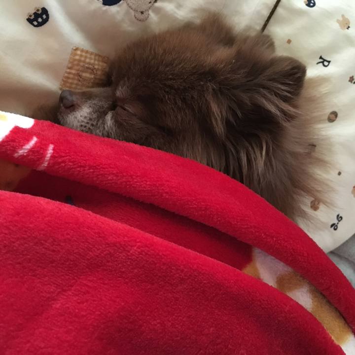 9f8964b6 c088 4b7a b42d 54c410bb65b2 1515210453666