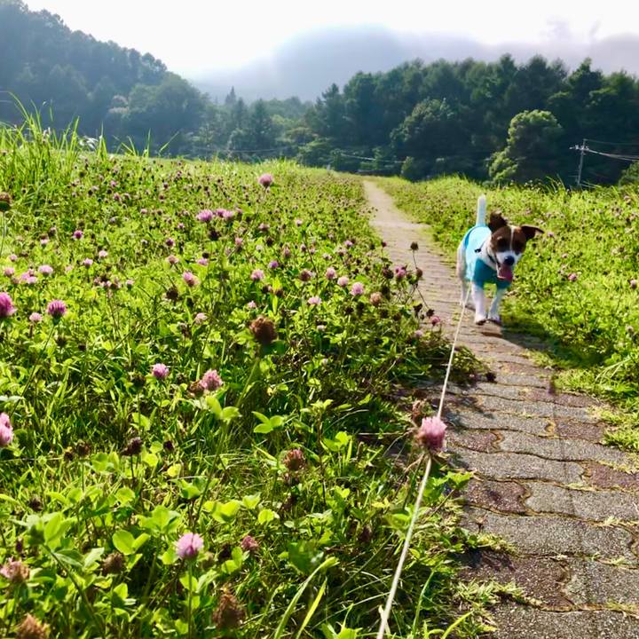 9f898534 255d 4552 a6ca f7e7a4ae0368 1596543174363