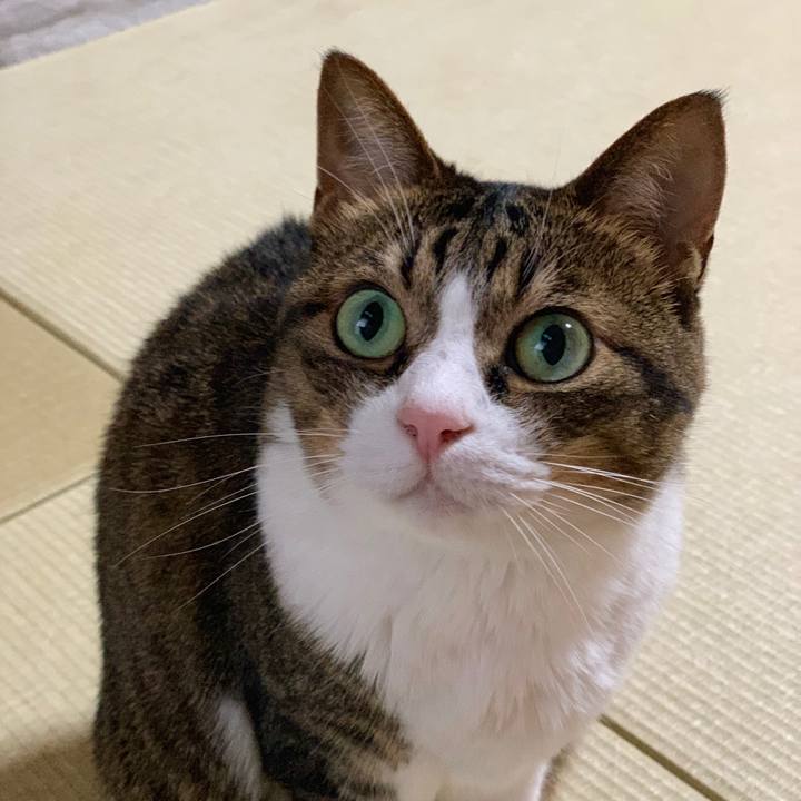 9f898681 407f 4dbd 9dbb 496bc16bb8dc 1561196223401