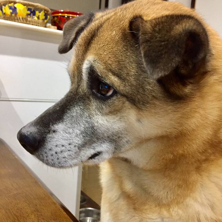 9f898ffc 1611 41a9 9b82 6f789e7da730 1580727547969