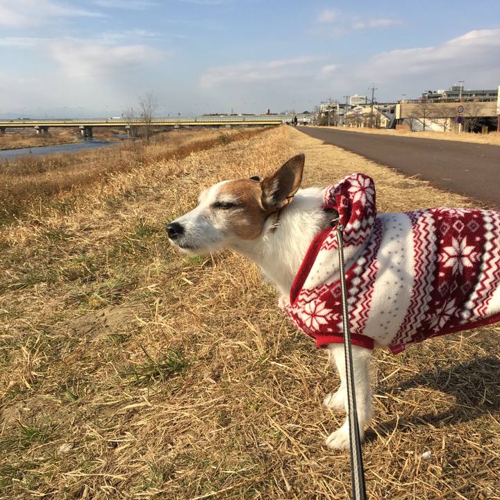 9f899b5a 9c7b 42c2 9fe3 9d2b301f6224 1643503218094