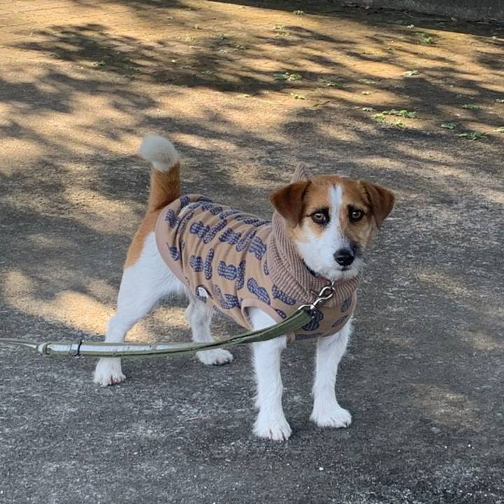 9f89a0f8 591f 48a4 87af 88dfdf6dc916 1634992360208