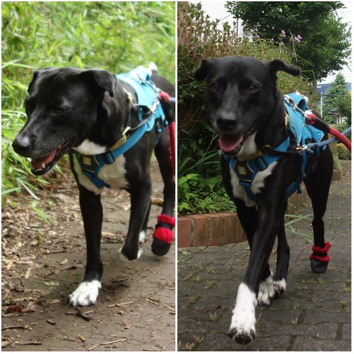 9f89b094 ecd4 4996 9806 24142289272a 1623887478864