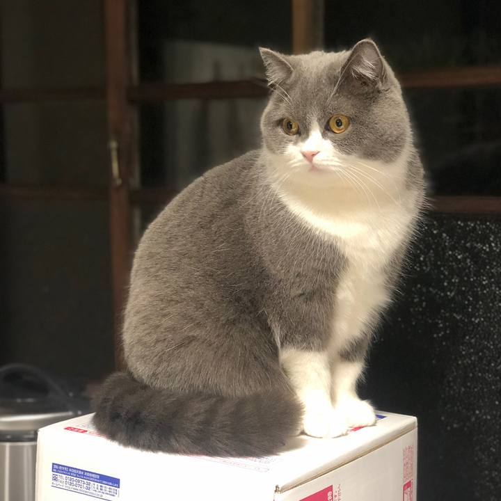 9f89c345 28cb 4cfe 872b 6f2cbeedbebf 1582168537395