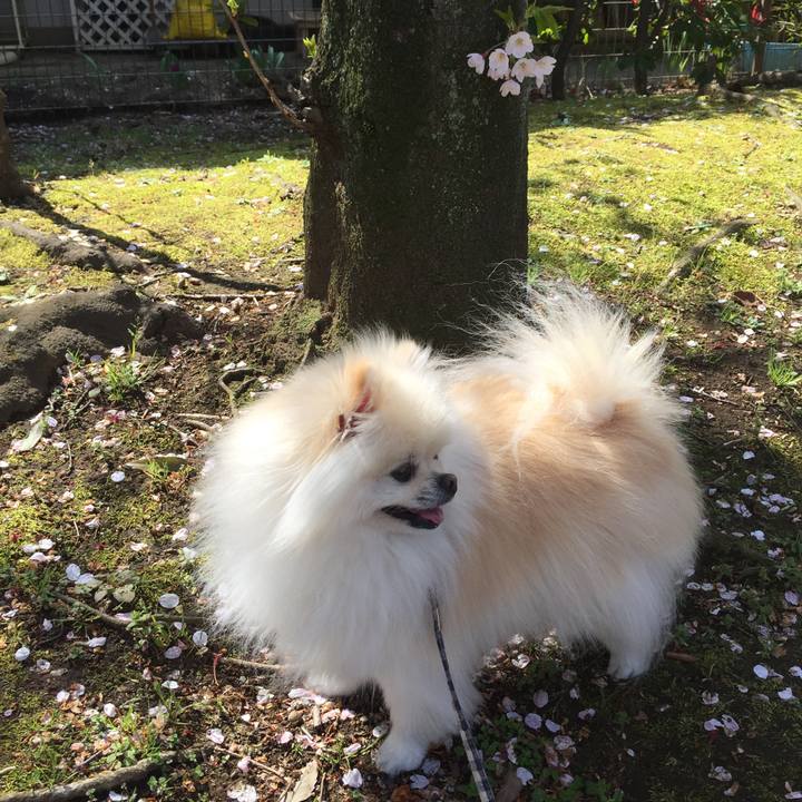 9f89dee3 3370 4425 bc32 c927a3889cad 1585964406887