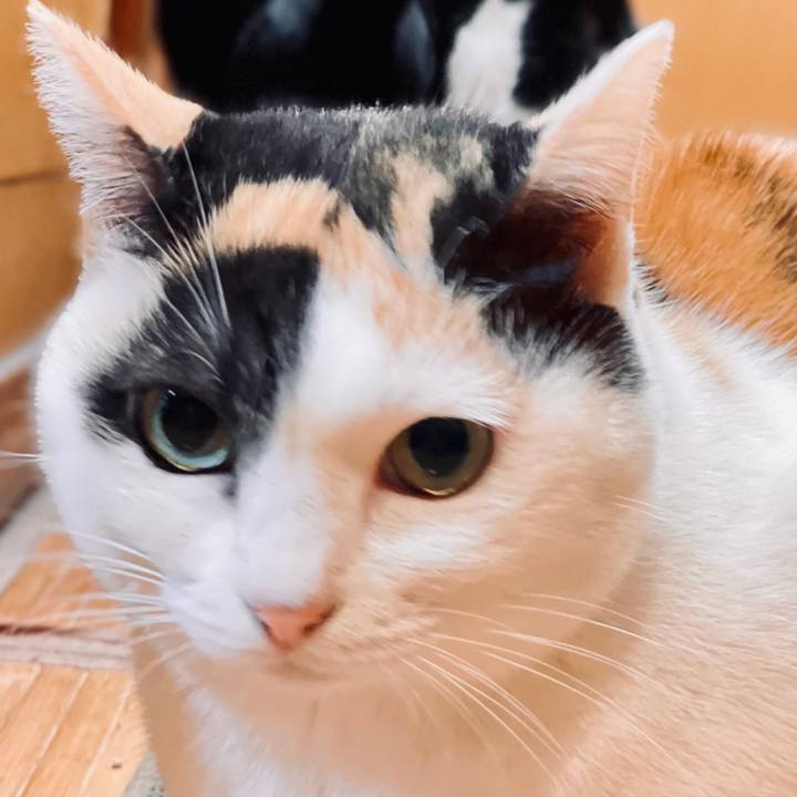 9f89f6d4 ac68 4ed6 a9e5 3ed77e941116 1606184644547