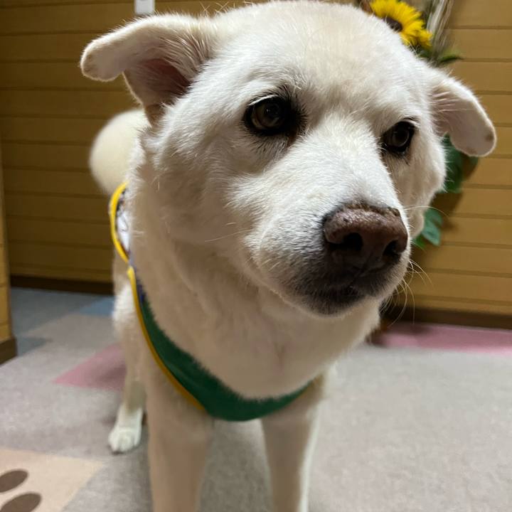 9f8a045e e78c 4c6a a864 b4f3c8623fa2 1760571163089