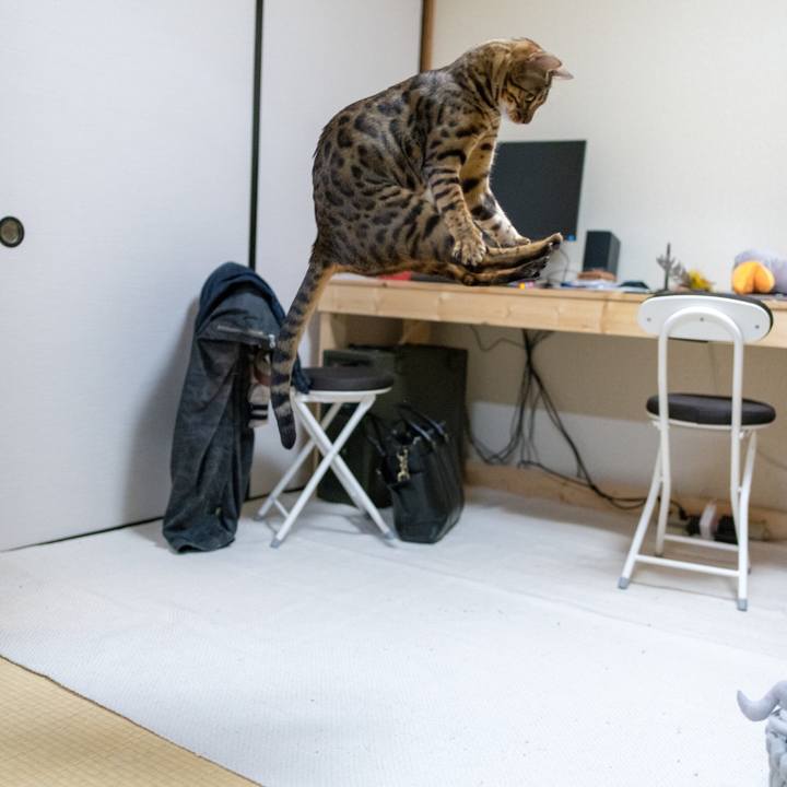 9f8a0827 d714 440b 8eec 01f4b83850a8 1521207552683