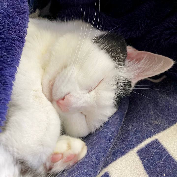 9f8a1b51 e269 47e0 bdc9 e439ba418ab0 1664939734128