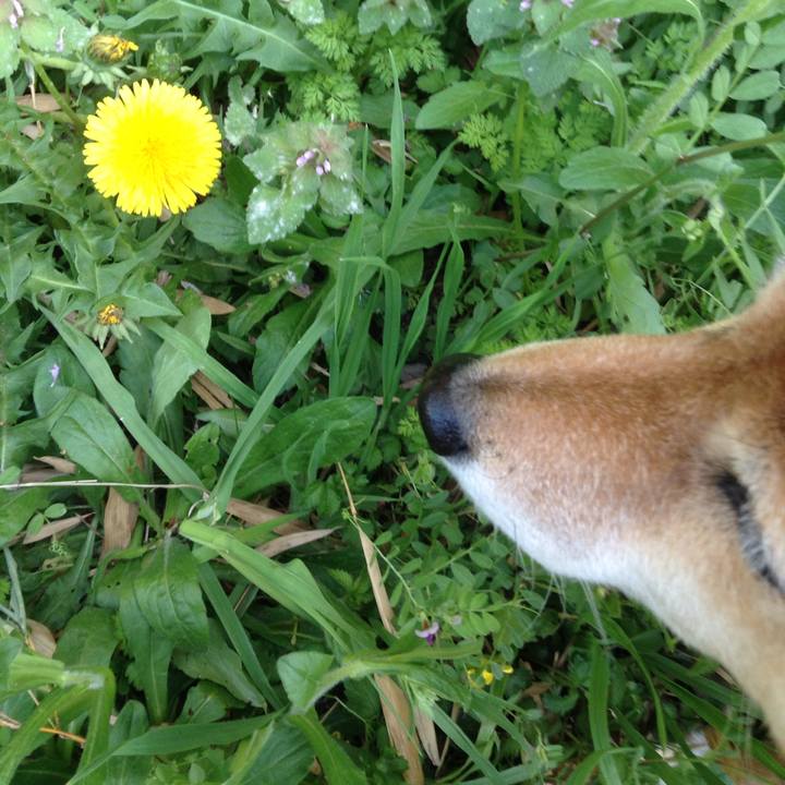 9f8a4789 ffd0 431b 9c8b 0b9a7c91206d 1523264589580