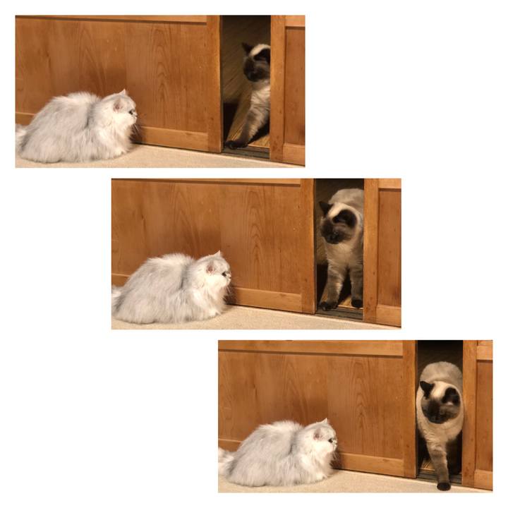 9f8a99d1 101e 4ca3 8378 87b886223991 1620515509516